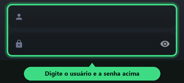 Campos Usuario e Senha preenchidos com o seu acesso